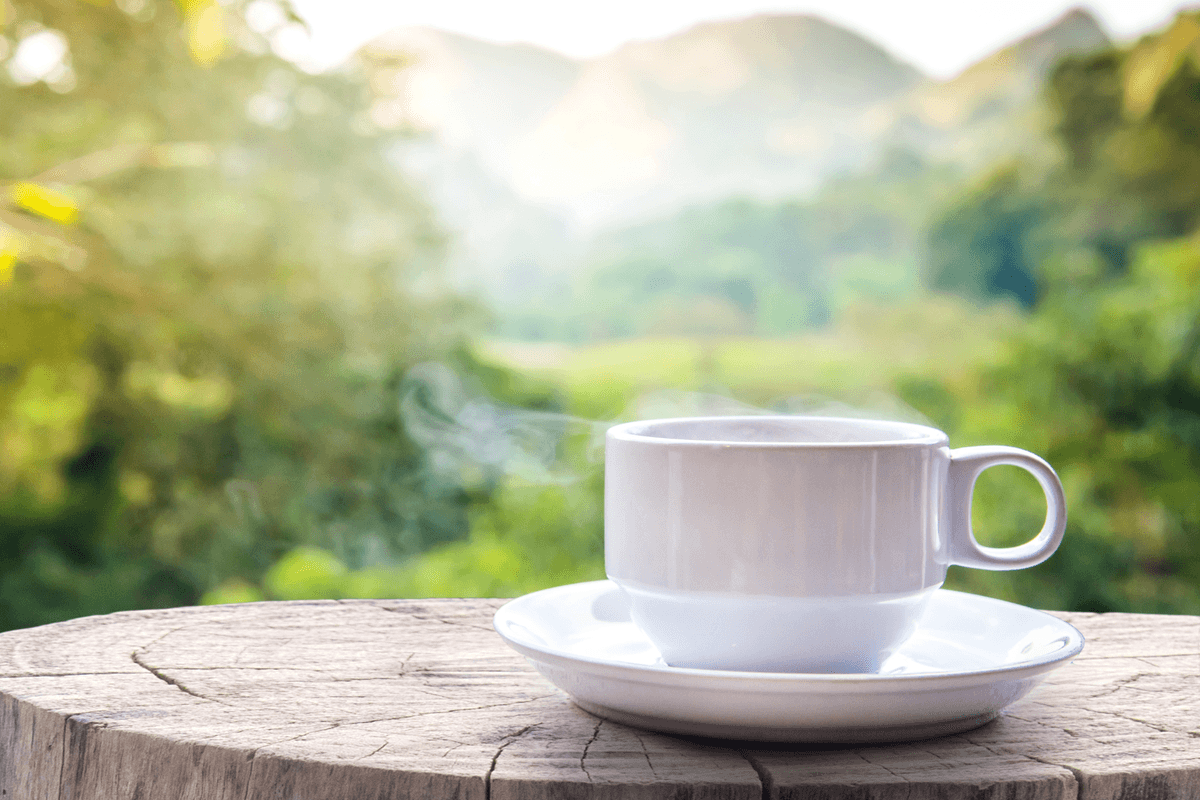 Savor a fresh morning feast from our culinary team while enjoying the nature's beauty.